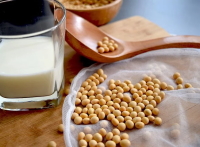 WHAT YOU NEED TO KNOW: SOY